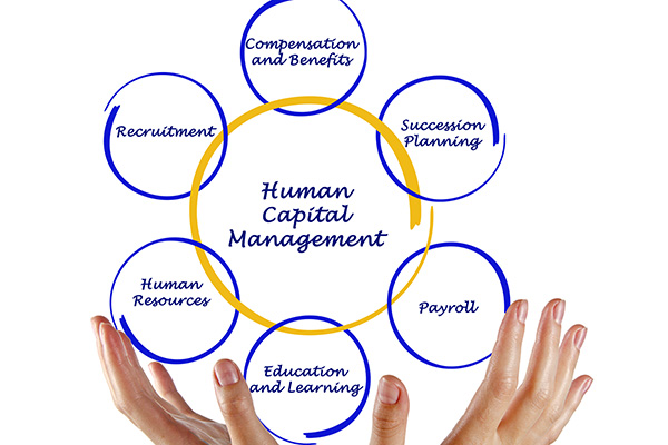 An infographic of hands showing human capital management