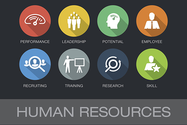 Human Resources Infographic